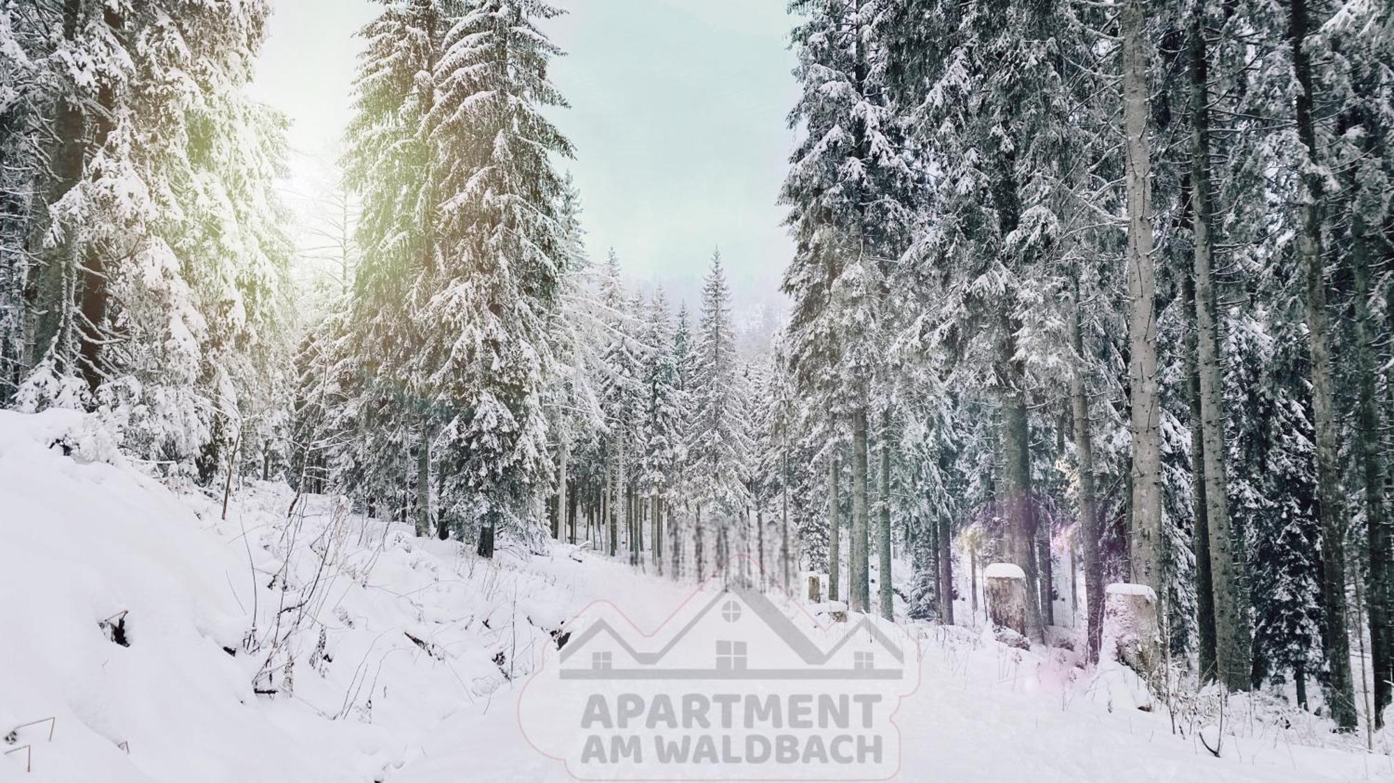 Apartment Am Waldbach Gernsbach Eksteriør bilde